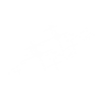 Cover style 1, layer 4